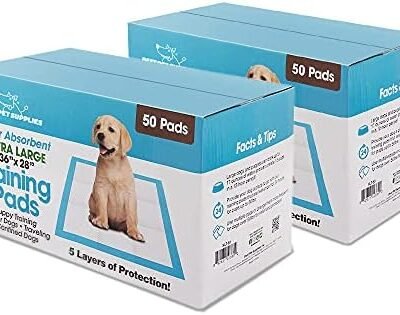 Best Pet Supplies, XL (36" x 28") Disposable Puppy Pads for Whelping Puppies and Training Dogs, 100 Pack - Ultra Absorbent, Leak Resistant, and Track Free for Indoor Pets - Baby Blue