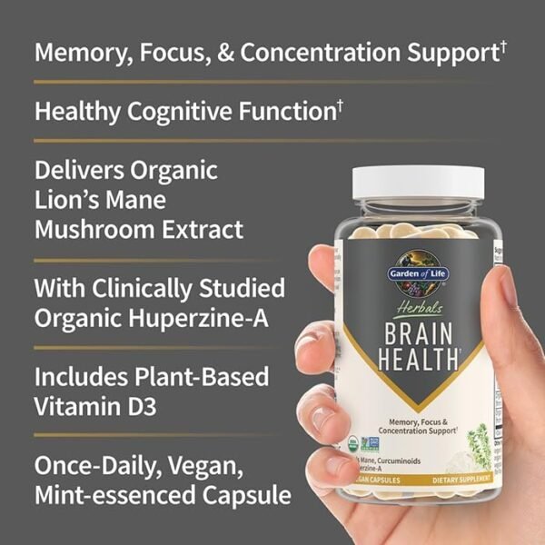 Garden of Life Brain Health Supplement with Organic Lion’s Mane & Turmeric, Non-GMO, Gluten-Free, Mint Flavor - For Memory, Focus & Healthy Brain Function - Image 3