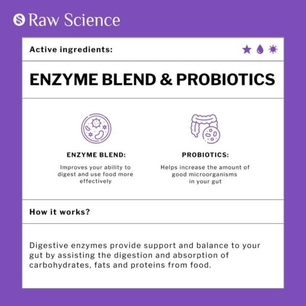 Digestive Enzymes With Probiotics for Women & Men Digestive Health - Bloating Relief, Gut Health Supplements: Bromelain, Papaya Enzyme, Acidophilus Probiotic, Lactase Enzymes for Digestion - 60 Pills - Image 2