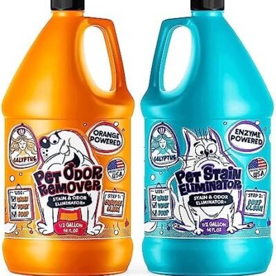Calyptus Pet Stain and Odor Remover | Orange and Enzyme Cleaner Duo Solution for Pets | Carpet Cleaner and Odor Eliminator for Cat Urine, Dog Pee, and Poop | Professional Strength, 1 Gallon
