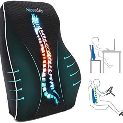 Lumbar Support Pillow for Office Chair Car, Gaming Chair Lower Back Pain Relief Memory Foam Cushion with 3D Mesh Cover Ergonomic Orthopedic Back Rest（16.31" 17.94"*4.69）