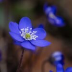 DIY Beauty Tips for a Spa Day at Home