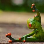 Beginner’s Guide: Essential Fitness Tips for Starting Your Journey