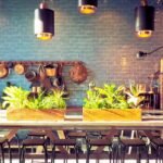 Kitchen Essentials: Must-Have Tools and Gadgets Every Home Cook Needs