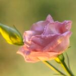 Confidence is Key: Tips for Feeling Beautiful Inside and Out