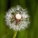 The Ultimate Guide to Winter Beauty: Tips for Hydrated Skin and Hair