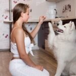 Simple Home Improvement Hacks to Make Your Home Feel Brand New