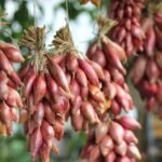 Time-Saving Kitchen Tips for Busy Home Cooks