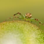 Beauty on a Budget: Affordable Tips and Tricks for a Polished Look