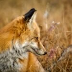 The Ultimate Guide to Achieving Flawless Skin: Beauty Tips You Need to Know