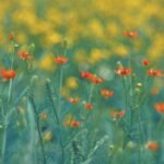 Beauty from Within: Holistic Tips for a Healthy and Beautiful You