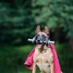 Fitness Secrets Revealed: Proven Tips for a Fitter Lifestyle